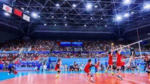 罗埃夫斯：我不是那种天才型球员；希望明年能随荷兰去世界杯